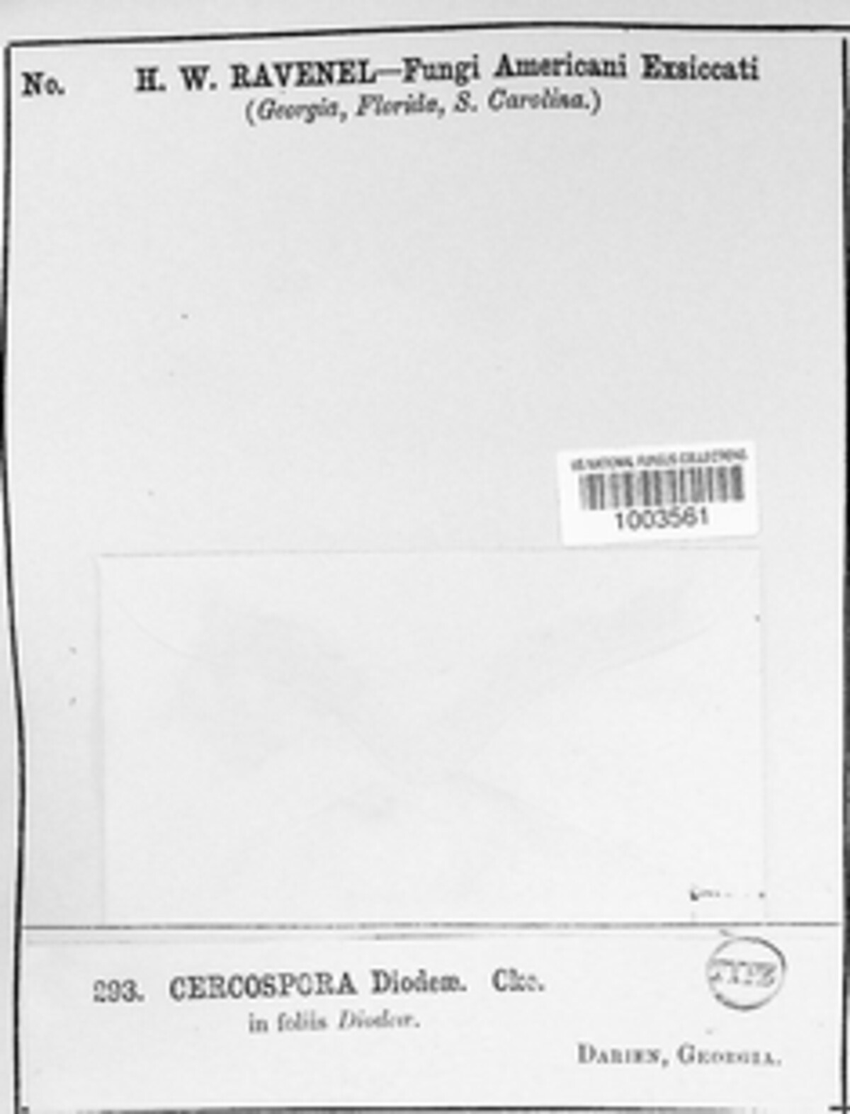 Passalora diodiae image